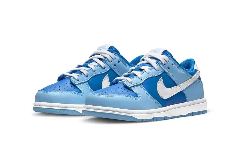 Nike SB Dunk Low PS Argon Flash White Argon Blue DV2635-400