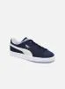 Suede Classic Xxi W par Puma